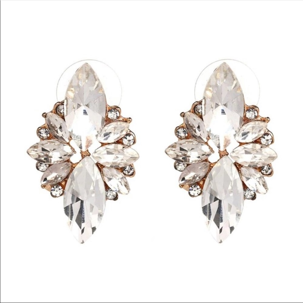 Clear Fan Statement Earrings